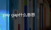 pay gap什么意思（gap什么意思）