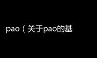 pao（關(guān)于pao的基本情況說明介紹）