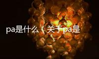 pa是什么（關于pa是什么的基本情況說明介紹）