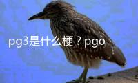 pg3是什么梗？pgone為什么被叫pg3