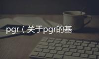 pgr（關于pgr的基本情況說明介紹）