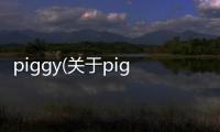 piggy(關于piggy簡述)