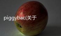 piggybac(關于piggybac簡述)