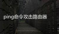 ping命令攻擊路由器（ping命令攻擊）