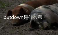 putdown是什么意思（down是什么意思）