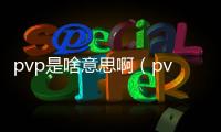 pvp是啥意思啊（pvp什么意思啊）