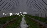 ryegrass(關(guān)于ryegrass簡述)