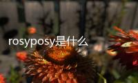 rosyposy是什么意思（rosy什么意思）