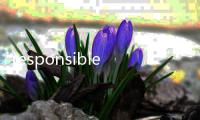 responsible的詞？（responsible）