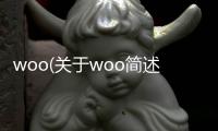 woo(關于woo簡述)