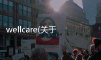 wellcare(關(guān)于wellcare簡述)