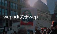 wepad(關(guān)于wepad簡述)