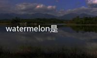 watermelon是什么意思中文意思