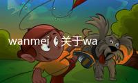 wanmei（關于wanmei的基本情況說明介紹）