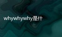 whywhywhy是什么意思（why是什么意思）