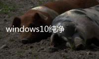 windows10純凈版是什么意思（windows10純凈版）