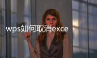 wps如何取消excel密碼保護（excel密碼保護）