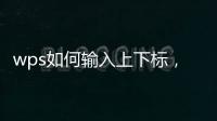 wps如何輸入上下標，WPS文字怎么輸入上標或下標