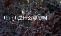 tough是什么意思?。╰ough是什么意思）