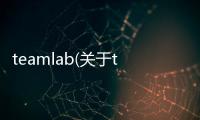 teamlab(關于teamlab簡述)