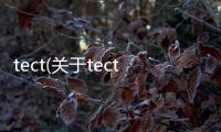 tect(關于tect簡述)