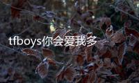 tfboys你會愛我多久(關于tfboys你會愛我多久簡述)