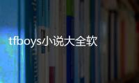 tfboys小說大全軟件下載（tfboys小說大全免費完結）