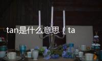 tan是什么意思（tan是什么）