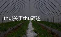 thu(關于thu簡述)