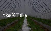 tika(關于tika簡述)