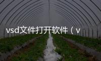 vsd文件打開軟件（vsd文件怎么打開）