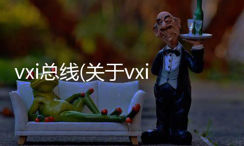 vxi總線(關(guān)于vxi總線簡(jiǎn)述)