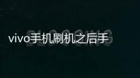 vivo手機刷機之后手機上有個“工程模式”，怎么解決？