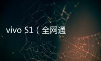 vivo S1（全網通）手機怎么恢復出廠制度？