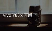 vivo Y83公開版刷機(jī)包