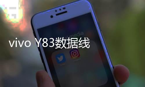 vivo Y83數據線不能連接